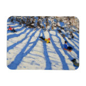 Tree shadows Morzine Magneet (Horizontaal)