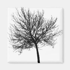 Tree Silhouette Magneet