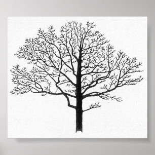 Tree Silhouette Poster
