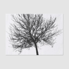 Tree Silhouette Tissuepapier