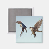 Tree Swallow Chase Magnet Magneet (Voorkant / Achterkant)