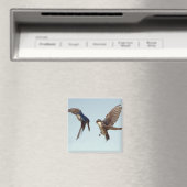 Tree Swallow Chase Magnet Magneet (Insitu (Vaatwasser))