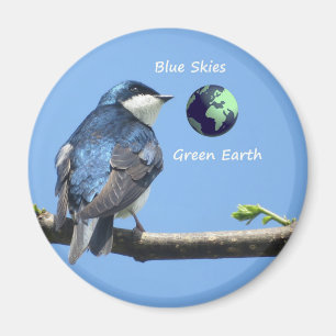 Tree Swallow Ecology magnet