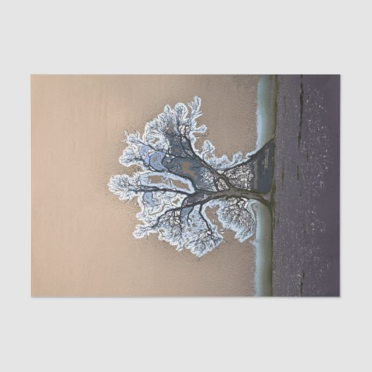 TREE TISSUEPAPIER (Voorkant)