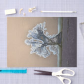 TREE TISSUEPAPIER (Craft)