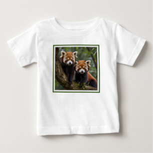 Tree-top Explorers: Baby Red Panda's Uitkijken