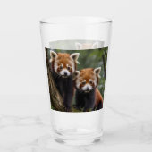 Tree-top Explorers: Baby Red Panda's Uitkijken Glas (Voorkant)