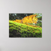 Tree Trunk in Lush Moss - Canvas Afdruk (Voorkant)