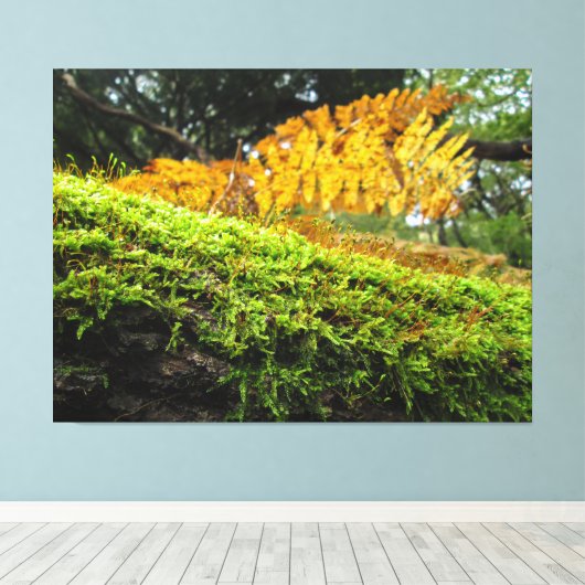 Tree Trunk in Lush Moss - Canvas Afdruk (Insitu (Houten vloer))