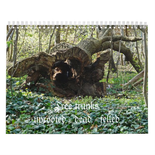 Tree trunks uprooted - dead - felled kalender (Hoes)