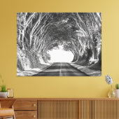 Tree Tunnel Kauai Fotografie Zwart-wit Canvas Afdruk (Insitu (Woonkamer))