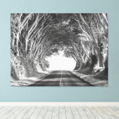 Tree Tunnel Kauai Fotografie Zwart-wit Canvas Afdruk (Insitu (Houten vloer))