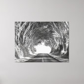 Tree Tunnel Kauai Fotografie Zwart-wit Canvas Afdruk (Voorkant)