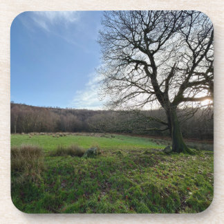 Tree view.. bier onderzetter