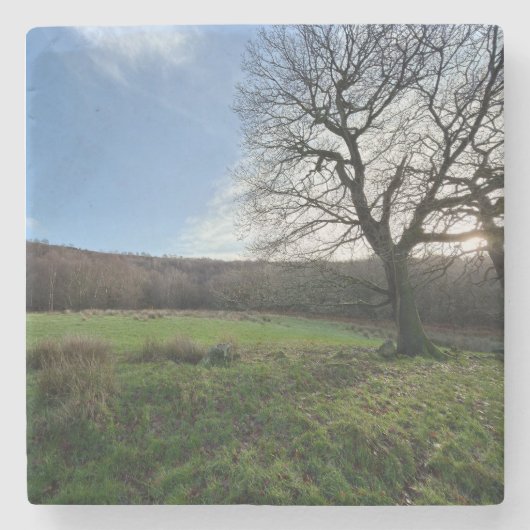 Tree view.. stenen onderzetter (Voorkant)