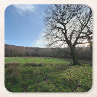 Tree view.. vierkante kartonnen onderzetter