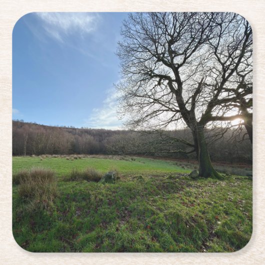 Tree view.. vierkante kartonnen onderzetter (Voorkant)