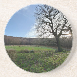 Tree view.. zandsteen onderzetter