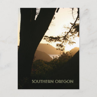 Tree with a view briefkaart