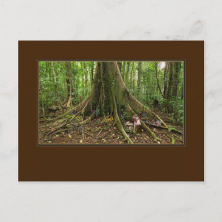 TreeHouse Montage Briefkaart