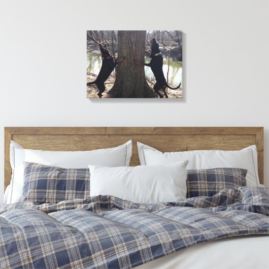Treeing Coon Hounds Canvas (Insitu (Slaapkamer))