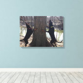 Treeing Coon Hounds Canvas Afdruk (Insitu (Houten vloer))