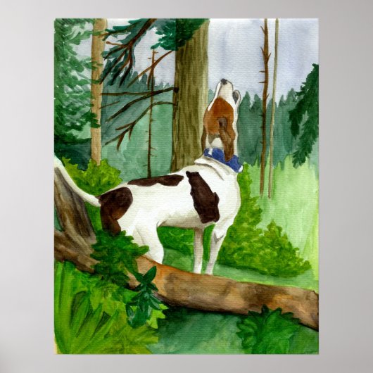 Treeing Walker Coonhound Dog Portret Poster (Voorkant)