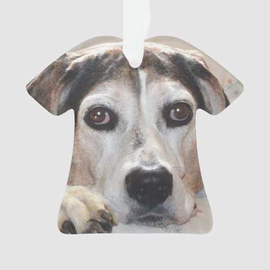 Treeing Walker Coonhound Hound Dog Ornament (voorkant)