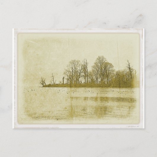 Treeline Briefkaart (Voorkant)