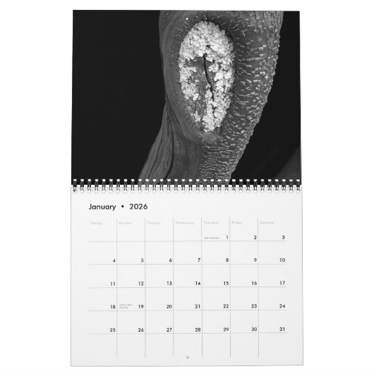 Trees 2010 kalender (Jan 2026)