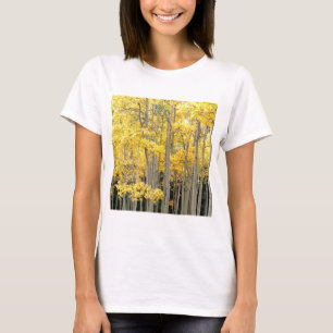Trees Autumn Aspens Kenosha Pass Colorado T-shirt