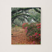Trees Azaleas Oaks Magnolia Charleston Legpuzzel (Verticaal)