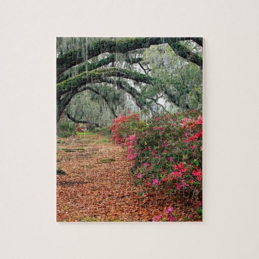 Trees Azaleas Oaks Magnolia Charleston Legpuzzel (Verticaal)