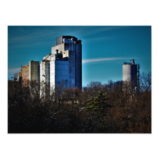 "Trees: Beperkte tijd slechts" Foto Afdruk (Voorkant)