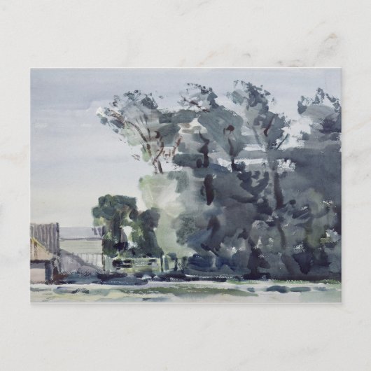 Trees - Dawn Briefkaart (Voorkant)