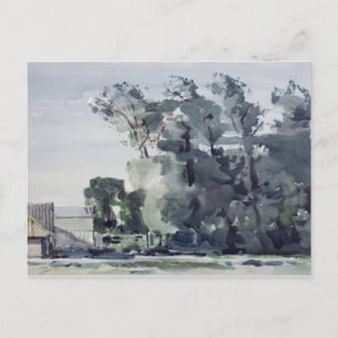Trees - Dawn Briefkaart
