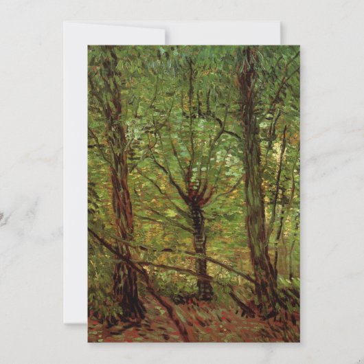Trees en Undergrowth door Vincent van Gogh (Voorkant)