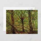 Trees en Undergrowth door Vincent van Gogh Briefkaart (Voorkant / Achterkant)