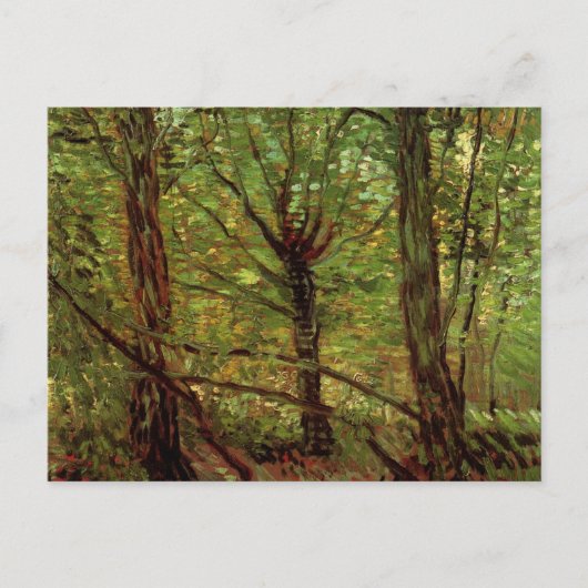 Trees en Undergrowth door Vincent van Gogh Briefkaart (Voorkant)