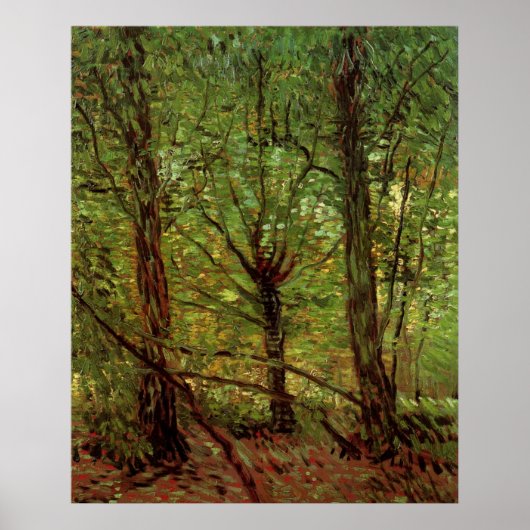 Trees en Undergrowth door Vincent van Gogh Poster (Voorkant)