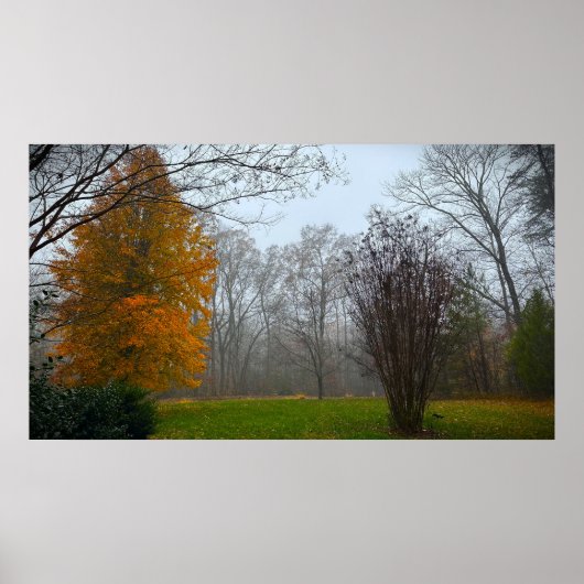 Trees & Fog, Poster (Voorkant)