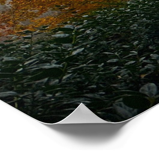 Trees & Fog,  Poster (Hoek)