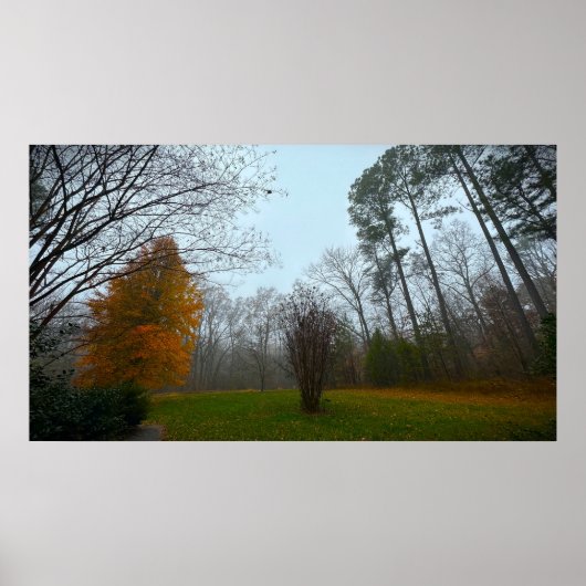 Trees & Fog, Poster (Devant)