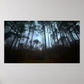 Trees & Fog,  Poster (Voorkant)