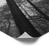 Trees & Fog, Poster (Coin)