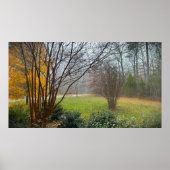 Trees & Fog,  Poster (Devant)