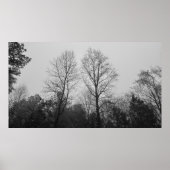 Trees & Fog, Poster (Devant)