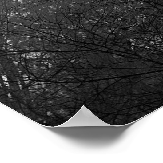 Trees & Fog, Poster (Coin)