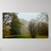 Trees & Fog, Poster (Voorkant)