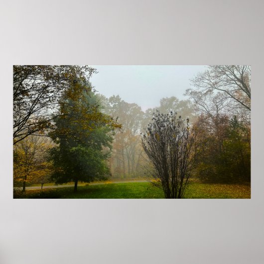 Trees & Fog, Poster (Voorkant)